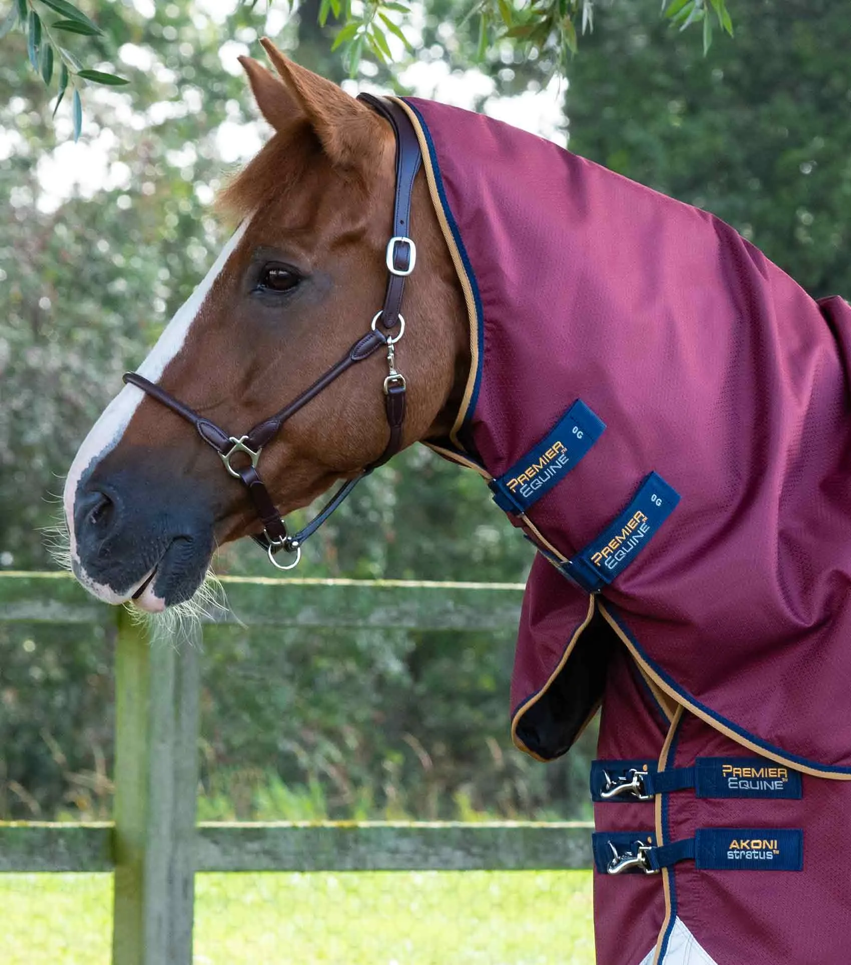 Akoni 0g Turnout Rug with Classic Neck Cover Wine