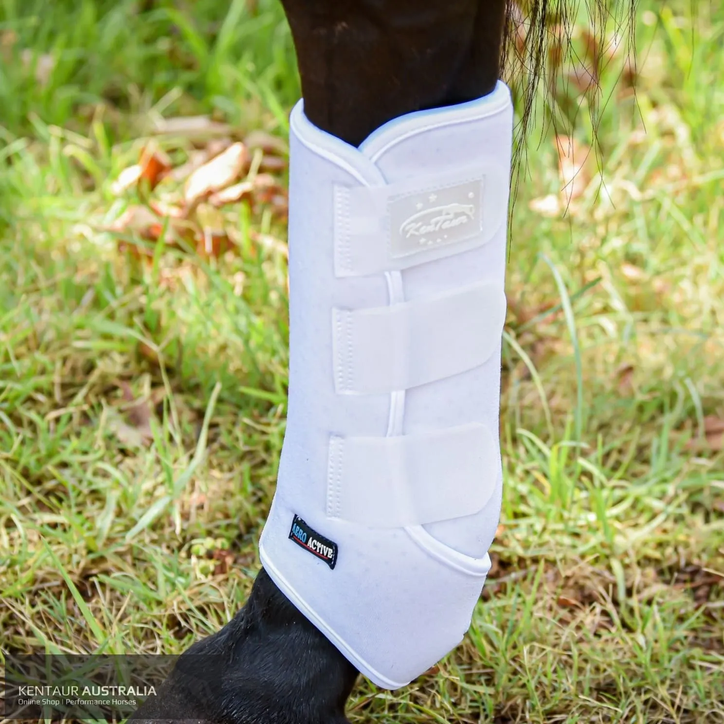 Kentaur ‘Velcro’ Hind Dressage Boots