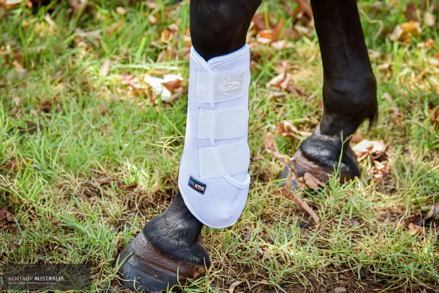 Kentaur ‘Velcro’ Hind Dressage Boots